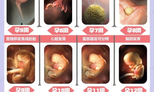 怀孕了陪病人做了petct网孕妇要与做完pet的人隔多远知识网站,分享刚怀孕陪家人做petct大全