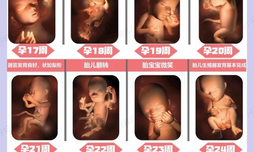 怀孕了陪病人做了petct网孕妇要与做完pet的人隔多远知识网站,分享刚怀孕陪家人做petct大全